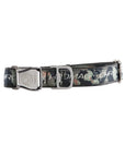 Dog Collar