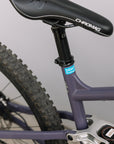 Motivo de la demostración